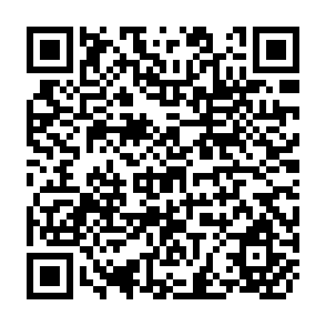 QR Code for Effects of Pantarritorial Pricing Policy for Maize in Tanzania