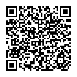 QR Code for IIMI Irrigation Management Network