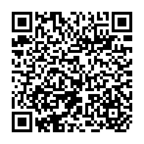 QR Code for Development And Use Of WID Guidelines And Checklists At National Level