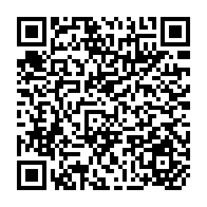 QR Code for Wood Energy Policies and Strategies Some Issues