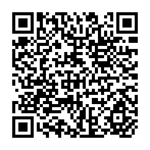 QR Code for A Structural Perspective of Farm and Non-farm Households in Bngladesh