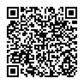 QR Code for Macro - Economic Issues in International Labour Migration A Review