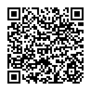 QR Code for The Economics of Irrigation