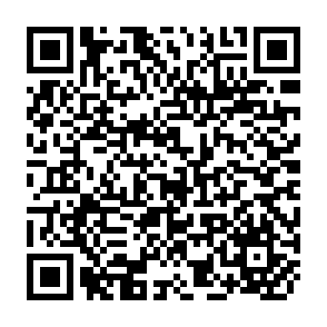 QR Code for A Modular curriculum in information studies