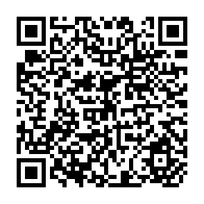 QR Code for Disguised Unemployment in an Underdeveloped Economy