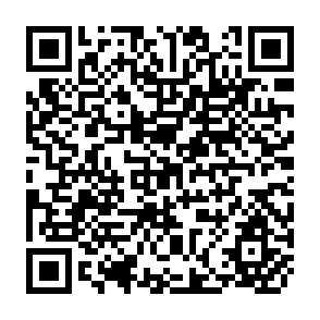QR Code for Financial Rehabilitation of export entreprises in developing countries