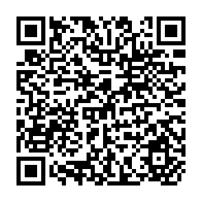 QR Code for The Pilot Employment Missions; and Lessons of the Kenya Mission