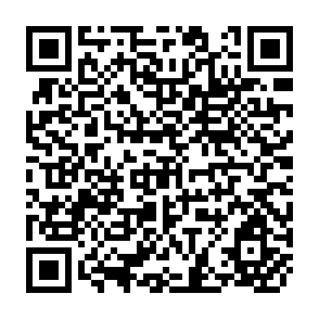 QR Code for The Rice Economies