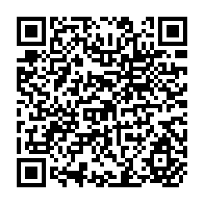 QR Code for FARM Business Data