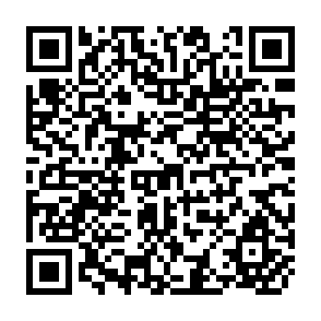 QR Code for FARM Business Data