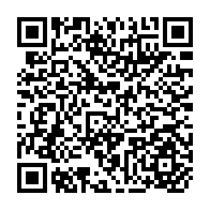 QR Code for Sector Paper on Rural Development