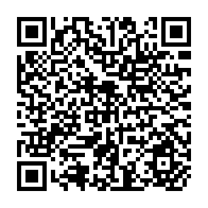 QR Code for What Price Food - Agricultural Price Policies in Developing Countries