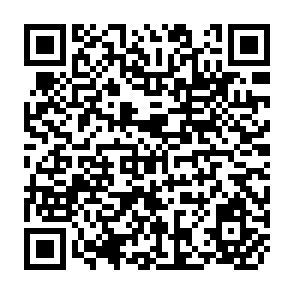 QR Code for Opportunities in the International Economy for Meeting the Food Requirements of the Developing Countries