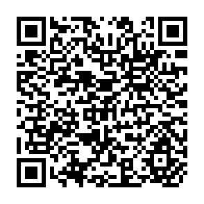 QR Code for Market Integration in Southern Africa: A Route to Regional Food Security