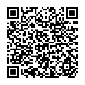 QR Code for Getting Prices Right - The Scope and Limits of Agricultural Price Policy