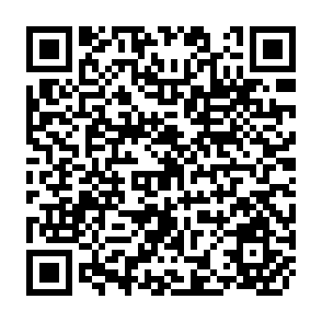 QR Code for Options for science based interventions in african agriculture