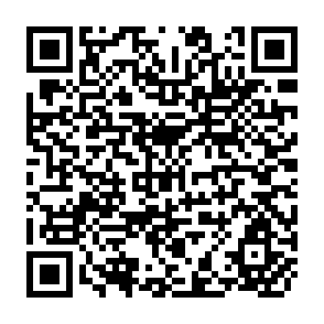 QR Code for Optimal Economic Growth- Shifting Finite Versus Infinite Time Horizon