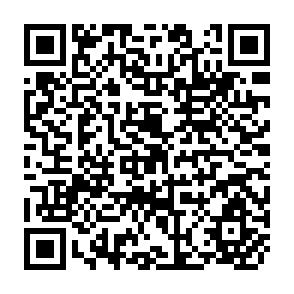 QR Code for Human Rights and Choice in Poverty A Theory of Human Rights and Duty to Aid the Third World Agrarian Poor