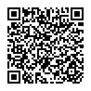 QR Code for Applications of Computerized Information Systems for Small Specialized Libraries