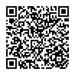 QR Code for Databases and Networking in Development