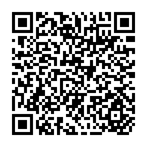 QR Code for Rice and Corn Technology and Policy in the Philippines
