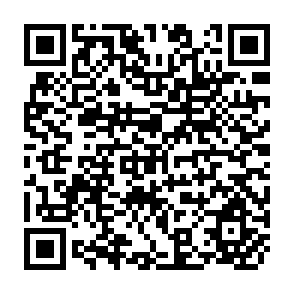 QR Code for Two Concepts of Social Development:Their Implication for Data Bases,Indicators and Development Planning