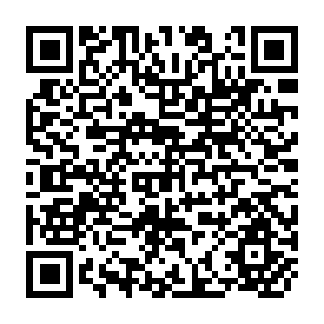 QR Code for The Emerging Role of International Food Policy Research