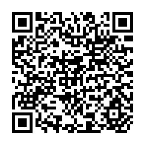 QR Code for The Economic Development of Bangladesh Within a Socialist Framework