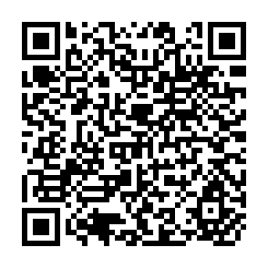 QR Code for Trade Strategies for Development : Papers of the Ninth Cambridge Conference on Development Problems