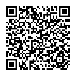 QR Code for Data Processing an Introduction