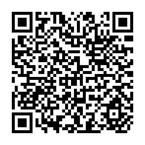 QR Code for Resource allocation in traditional agriculture: a study of Andhra pradesh