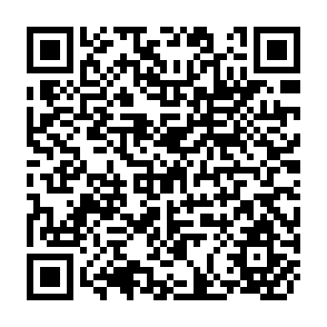 QR Code for Links between technology,agricultural development, economic growth and trade creation