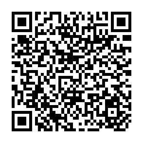 QR Code for Rice Production and Regional Crop Diversification in the Philippines: Economic Issues