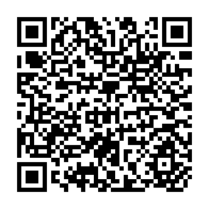 QR Code for Seminar on the World Development Report 1985