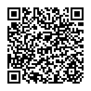 QR Code for Storage, Trade and Price Policy Underproduction Stability: Maize in Kenya