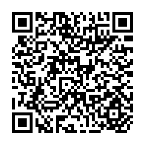 QR Code for Manual on IRD Plan Formulation, Implementation Monitoring and Evaluation- Nepal