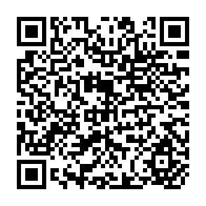 QR Code for Educational Expansion And The Inequality Of Pay:Colombia 1973-78