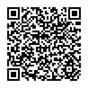 QR Code for Agricultural incentives in developing countries