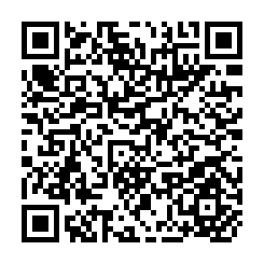 QR Code for Towards a Theory of Rural Development