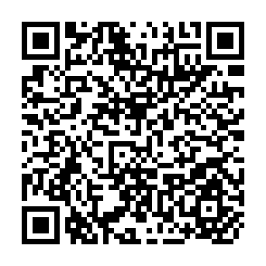 QR Code for Towards a Theory of Rural Development