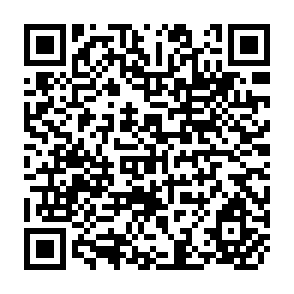 QR Code for Studies of financing agrarian reform in Latin America