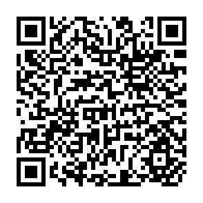 QR Code for Studies on financing agrarian reform in Latin America
