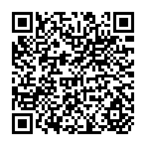 QR Code for The brazilian land reform statute