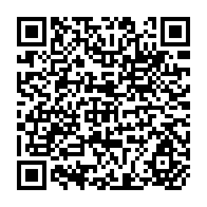 QR Code for The Impact of Development Strategies on the Rural Poor