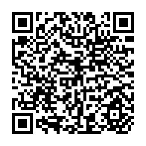 QR Code for Imapact of Price Movements on Areas under Selected Crops in India 190-1939