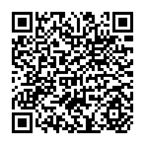 QR Code for Report of the seminar on the role of government in promoting the co-operative movement in developing countries