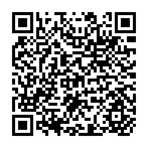 QR Code for Impact of Agricultural and Energy Technology on the Rural Poor