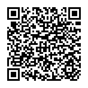 QR Code for Food Production in a Land-Surplus, Labour-Scarce Economy: The Zairian Basin