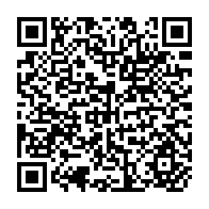 QR Code for Economics and the Public Purpose