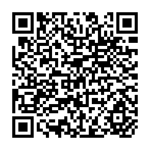 QR Code for The Role Of Public Policy In The Growth Of The Bangladesh Handloom Industry: 1947-87